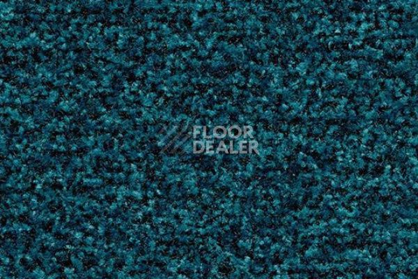 Грязезащитные покрытия Forbo Coral Brush 5705 Bondi blue фото 1 | FLOORDEALER
